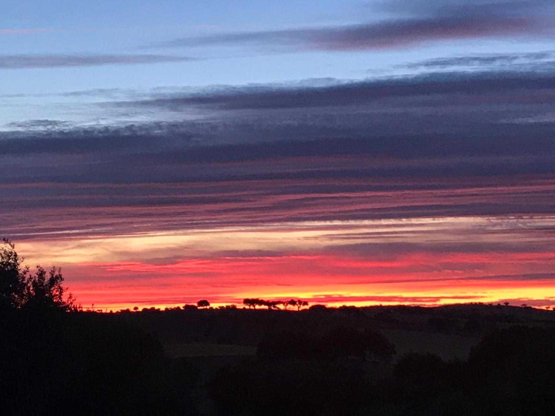 Por-Do-Sol Villa São Pedro do Corval エクステリア 写真