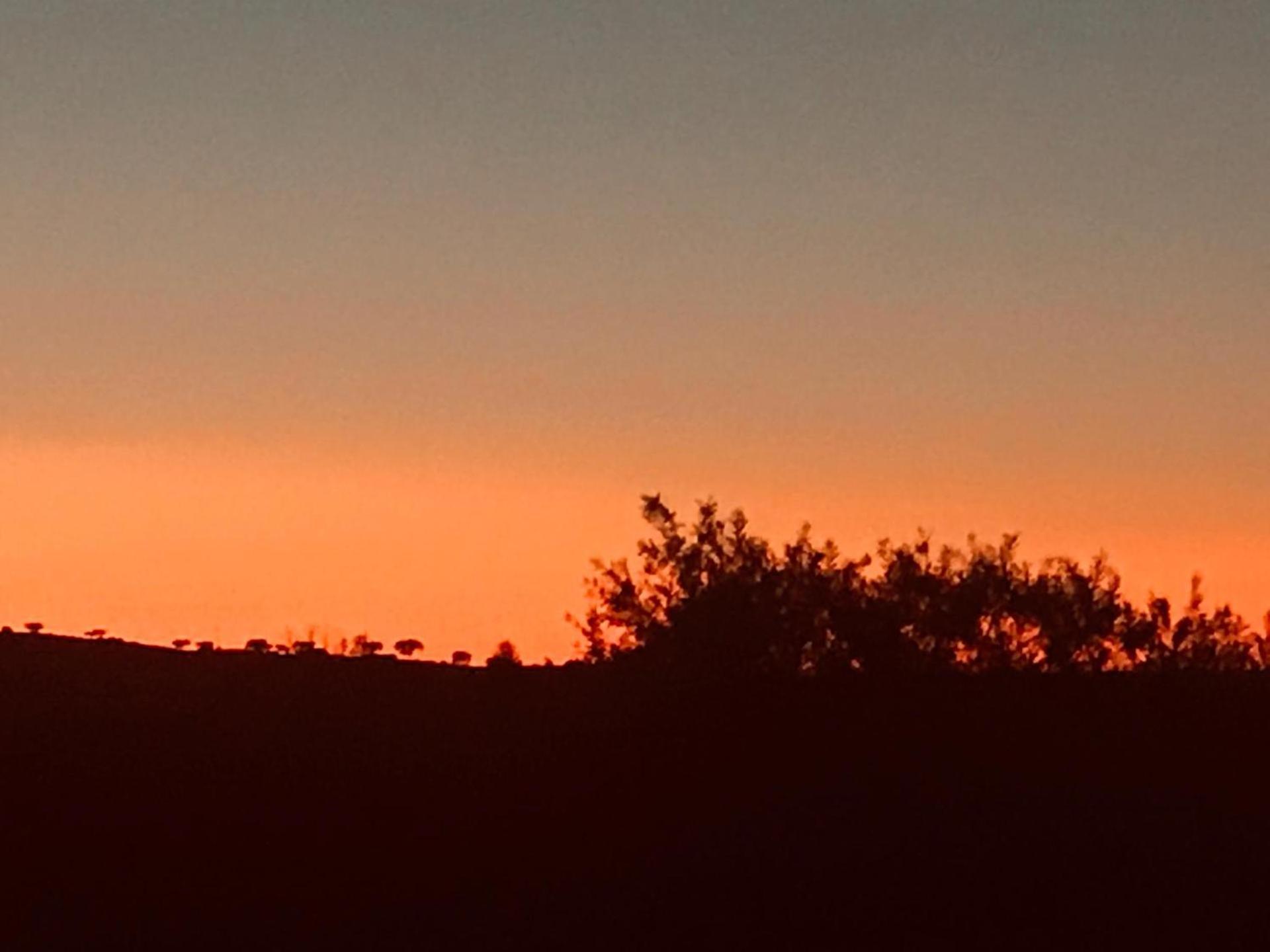 Por-Do-Sol Villa São Pedro do Corval エクステリア 写真