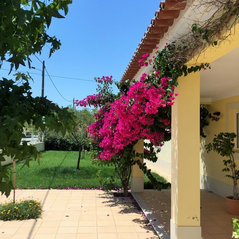Por-Do-Sol Villa São Pedro do Corval 部屋 写真